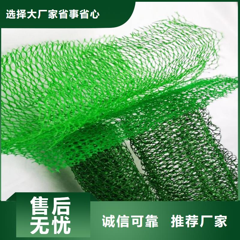 三维植被网钢塑土工格栅品质商家