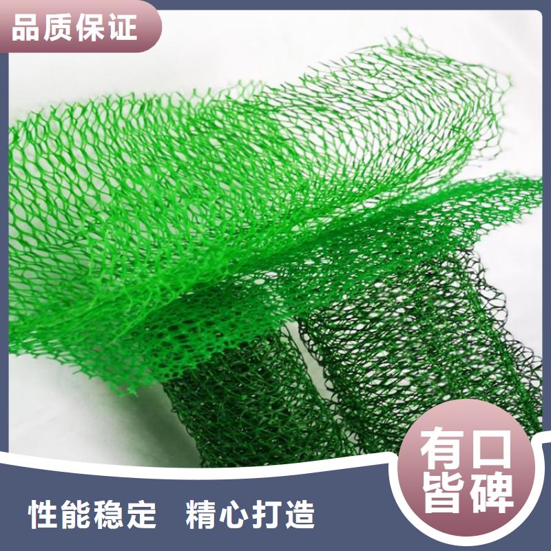 三维护坡加筋网垫#护坡加筋