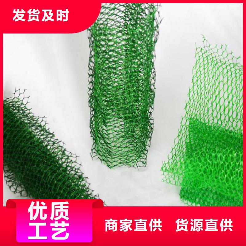 三维植被网植草格好货直供