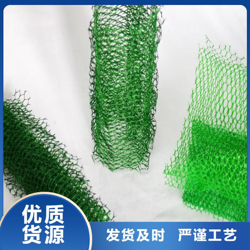 三维植草护坡网垫-三维土工网垫