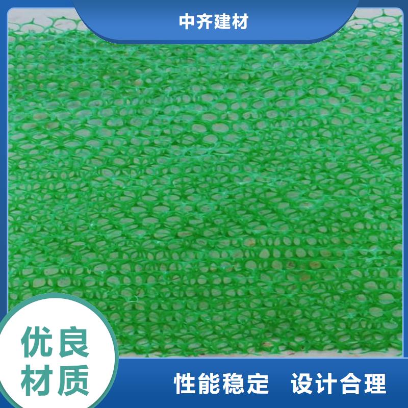 护坡加筋网垫-三维土工网垫