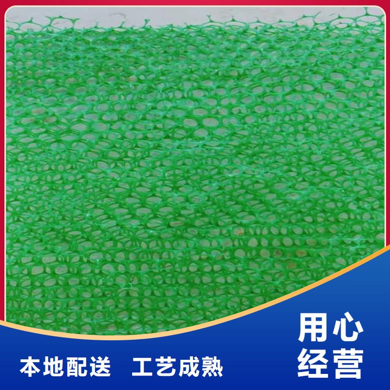 三维土工网垫-三维网植草护坡
