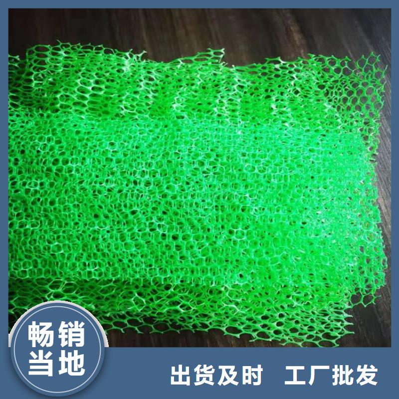三维土工网垫
