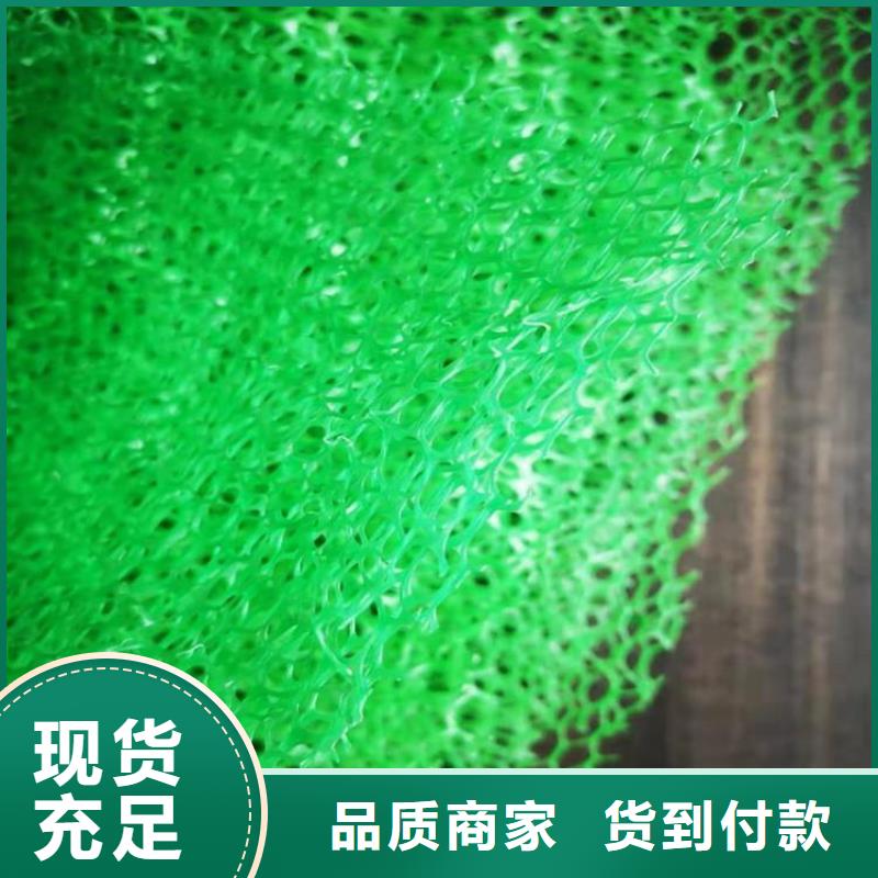 三维植草护坡网垫-三维土工网垫