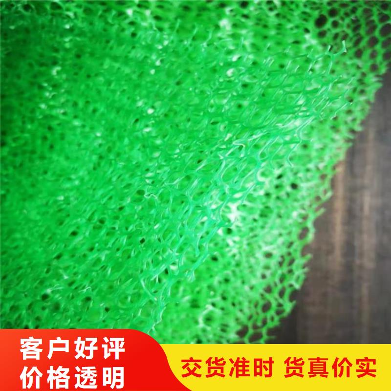 三维植被网土工格室真材实料诚信经营