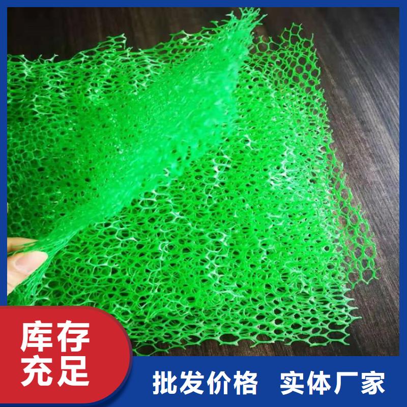 三维护坡植草网垫厂家动态已更新