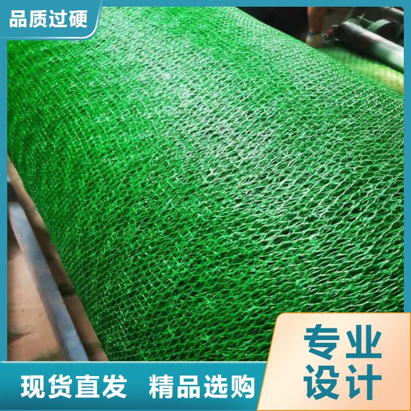 三维植被网#塑料护坡