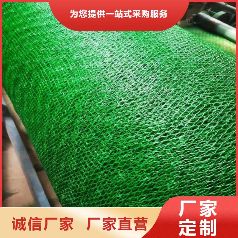 三维植被网植草格好货直供