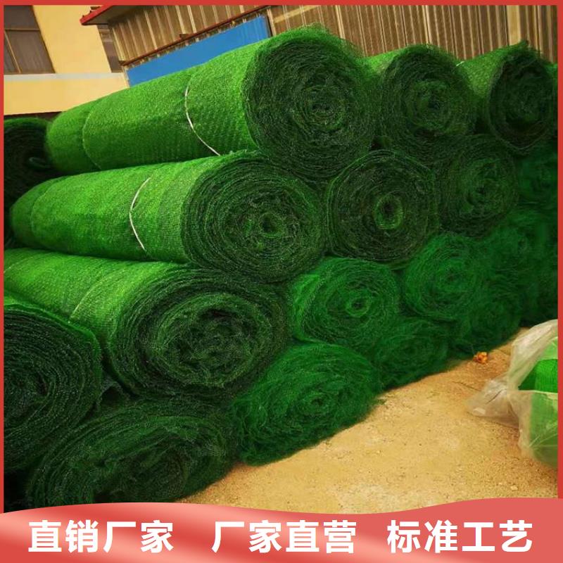 三维植被网现货价格