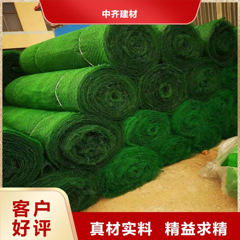 环保护坡三维加筋土工网垫