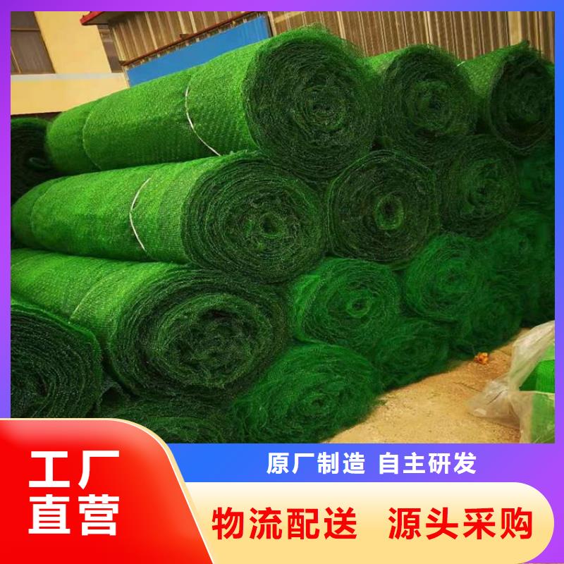 三维植被网植草格好货直供