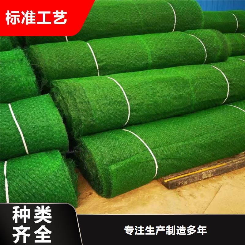 三维植被网植草格好货直供
