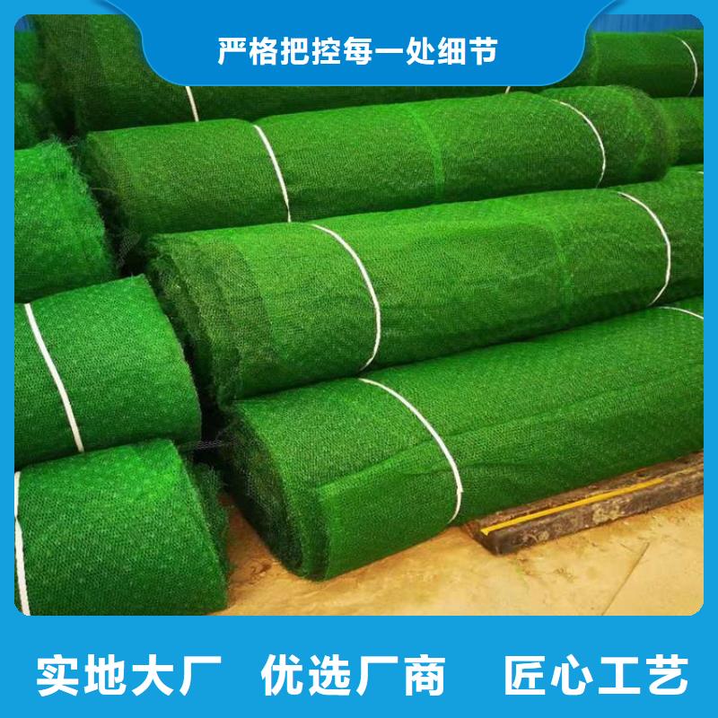 护坡加筋网垫-加筋三维植被网