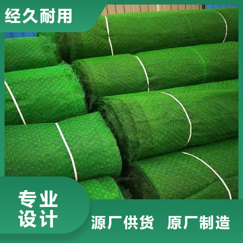 三维护坡加筋网垫#塑料环保
