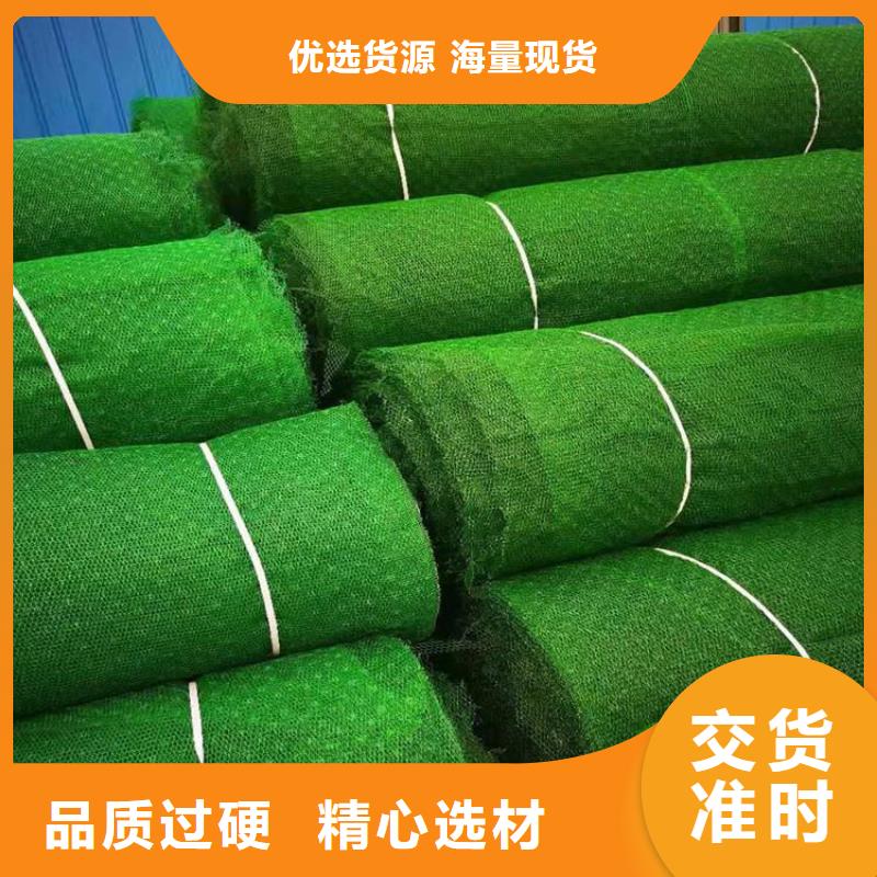 三维加筋土工网垫#EM4EM5