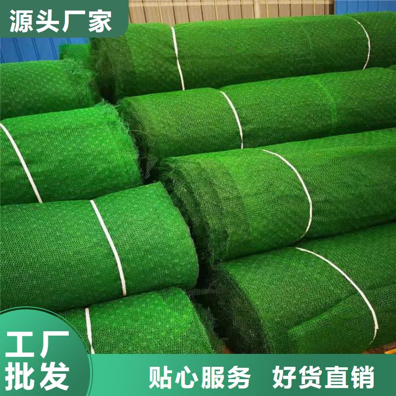三维植被网