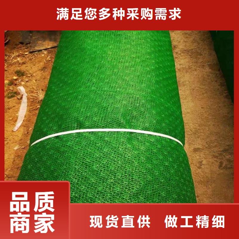 绿化塑料三维加筋土工网垫