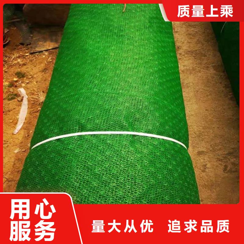 三维固土网垫-EM5三维土工网垫
