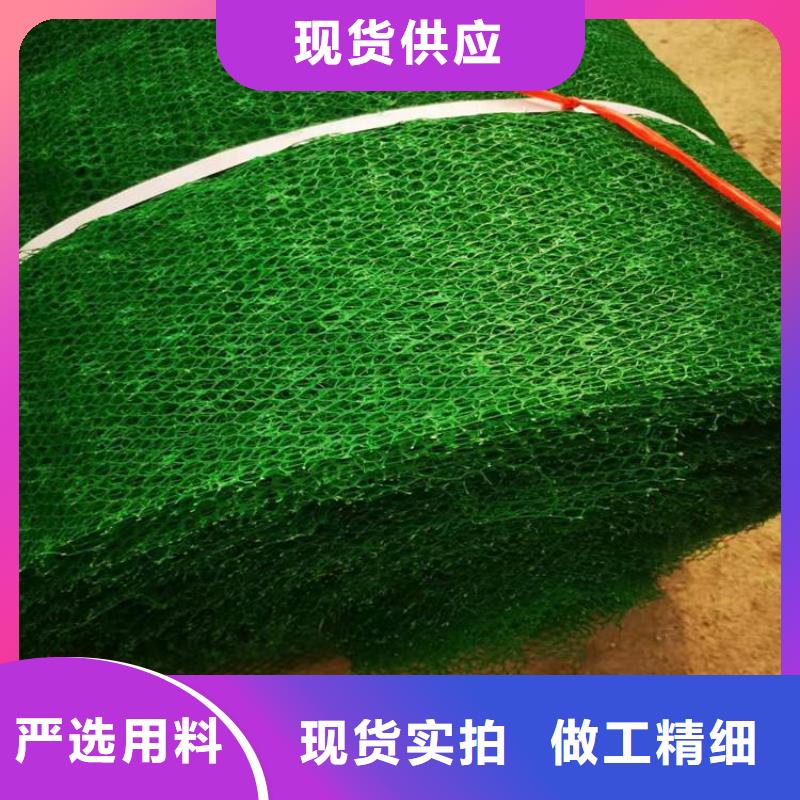 三维植草护坡网垫-三维网垫