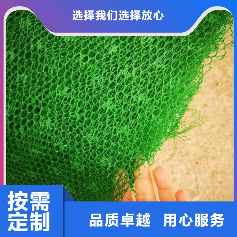 三维植被网膨润土防水毯实力公司