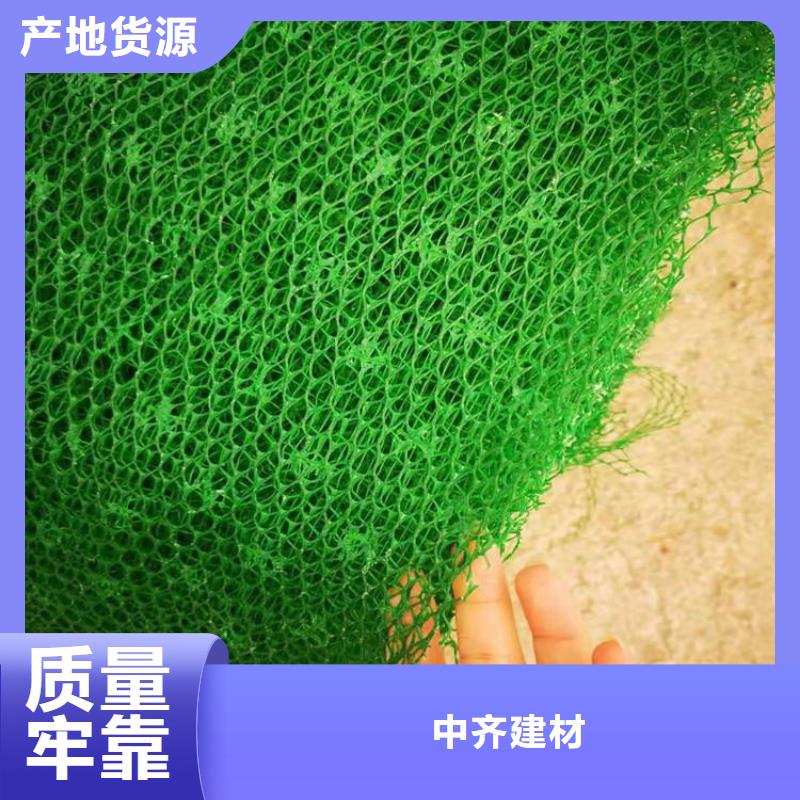 三维护坡植草网垫