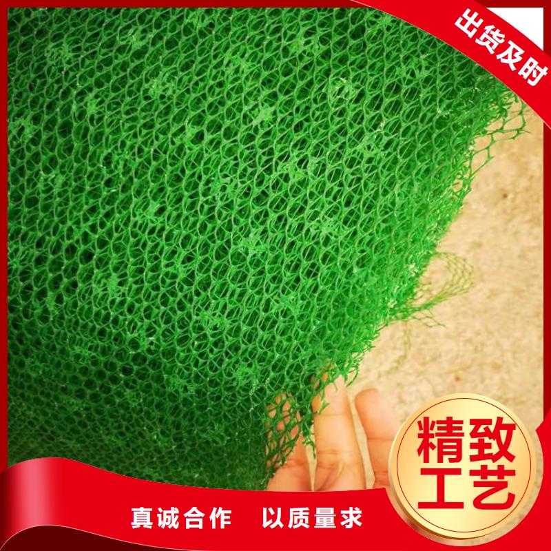 三维土工网垫-三维网植草护坡