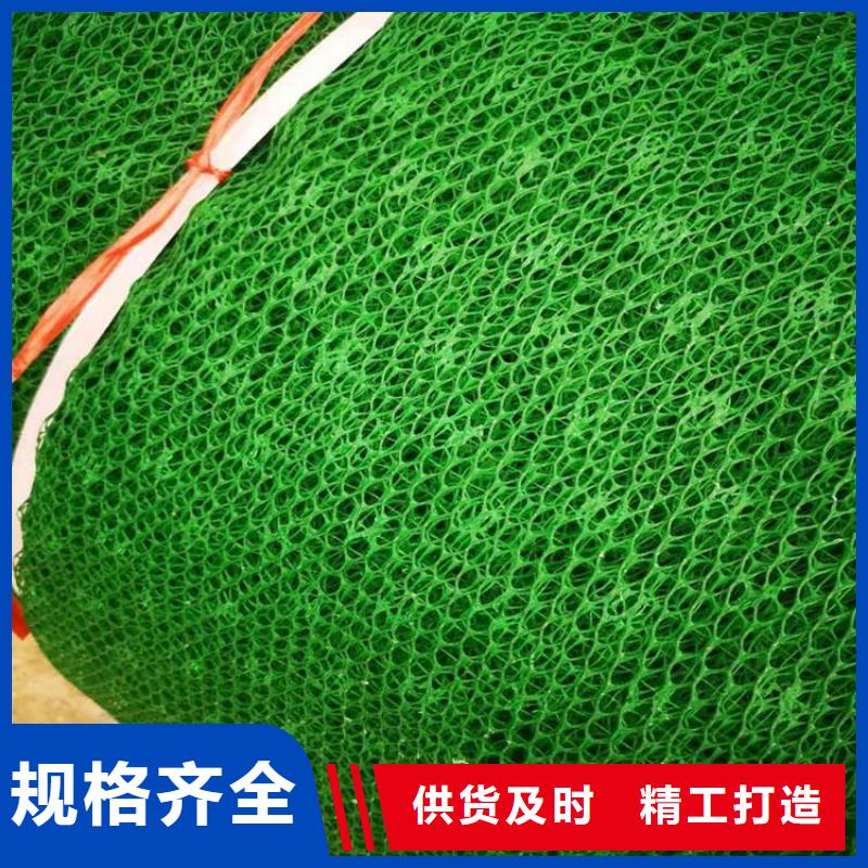 护坡EM4三维加筋土工网垫