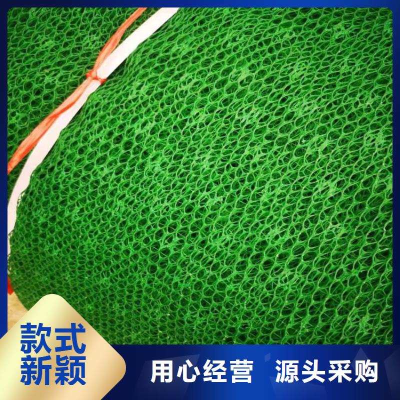 三维土工网垫-边坡三维植被网