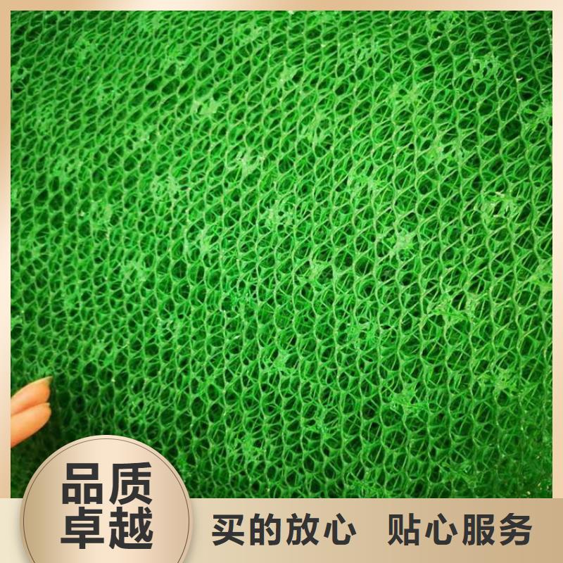 三维护坡加筋网垫#护坡加筋