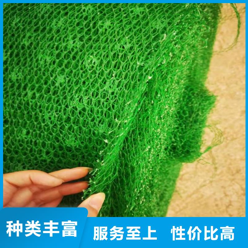 三维植被网#塑料护坡