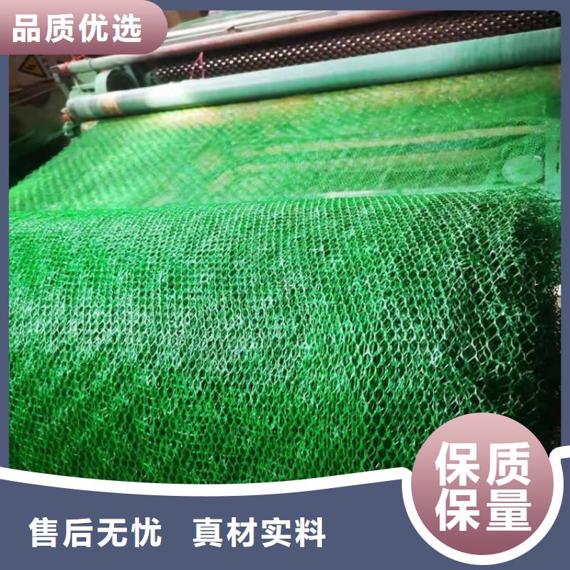 三维植被网植草格好货直供