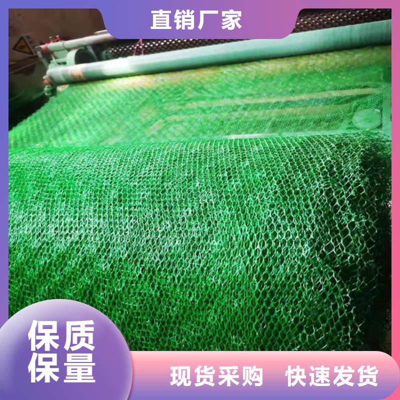 三维土工网垫厂家报价