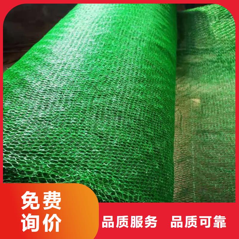 三维土工网垫-边坡三维植被网