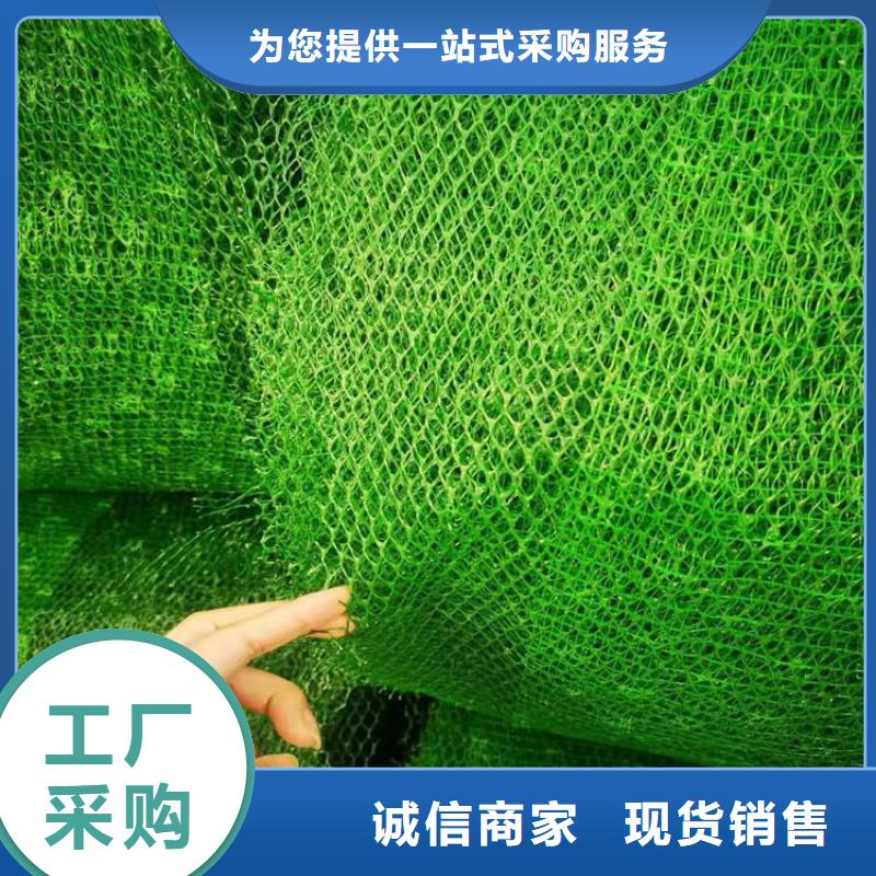三维加筋土工网垫欢迎电询