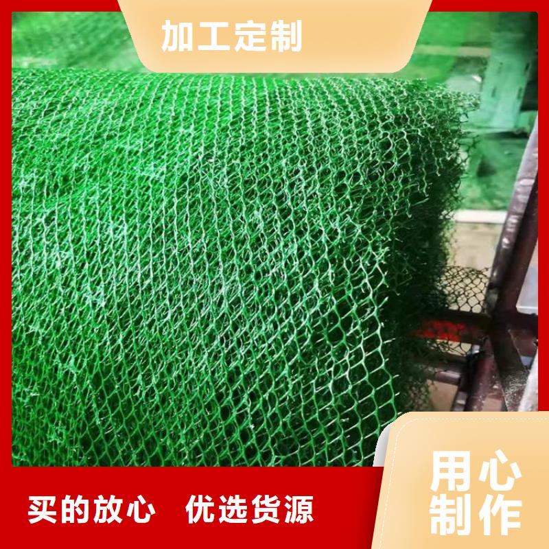 三维固土网垫厂家直销