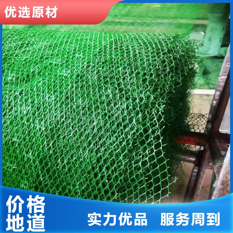 塑料固土三维护坡植被网垫