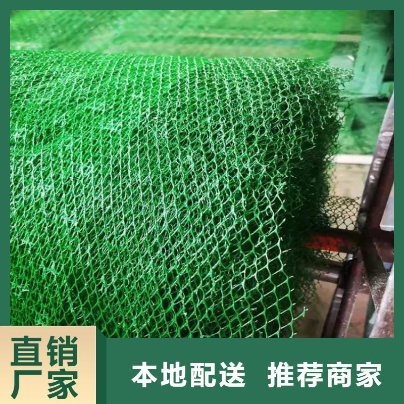 三维护坡植草网垫诚信厂家