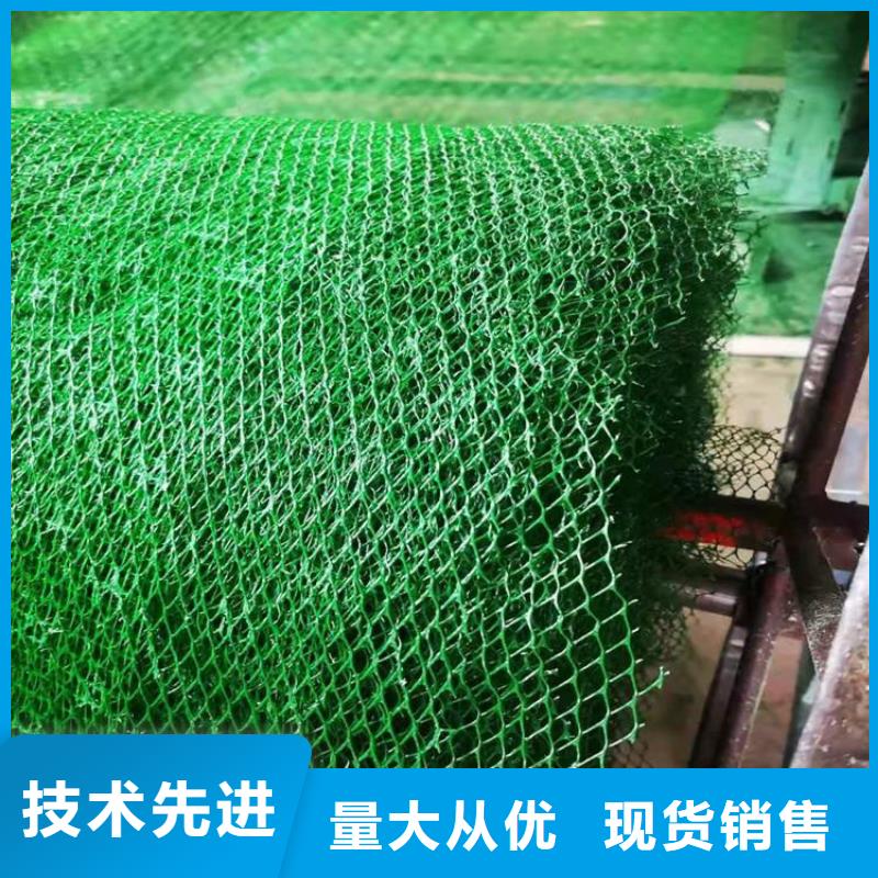 护坡加筋网垫-三维网植草护坡型号结构