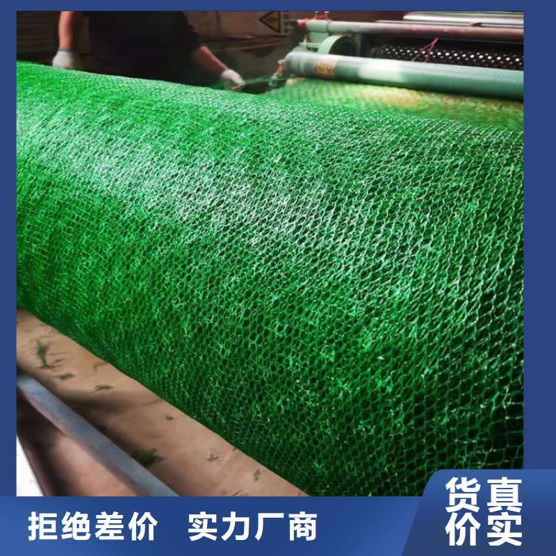 三维土工网垫厂家报价