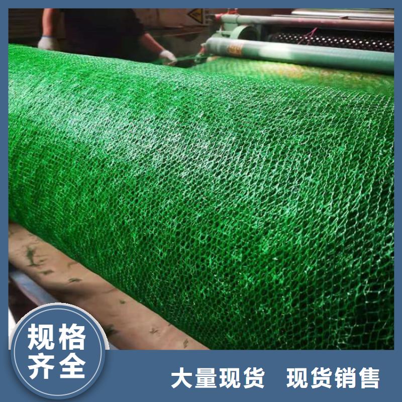 三维土工网垫-三维网植草护坡