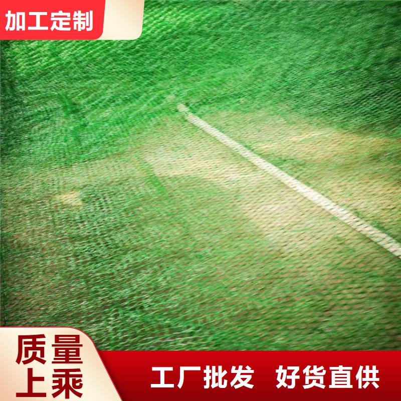 三维护坡植被网垫#草皮固土