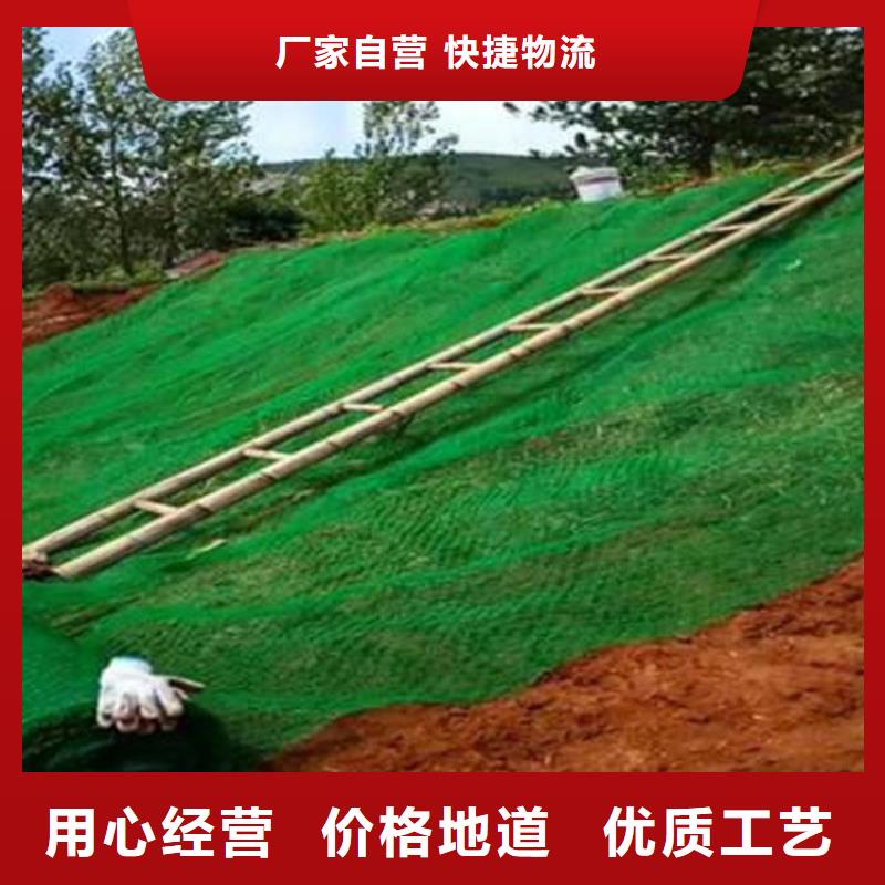 三维护坡植被网垫本地批发