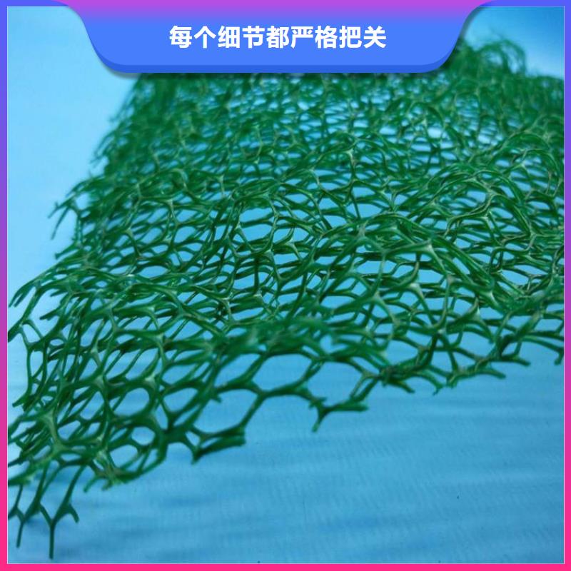 三维植被网