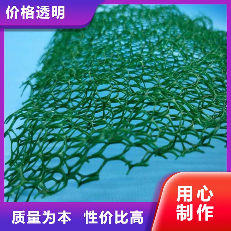 三维土工网垫-边坡三维土工网垫