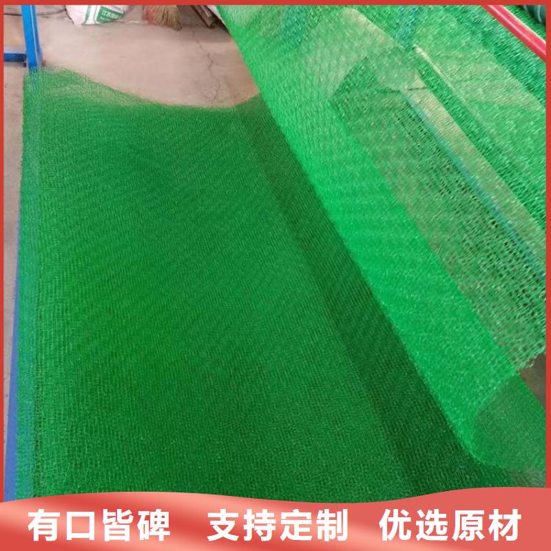 EM5EM4三维护坡加筋网垫
