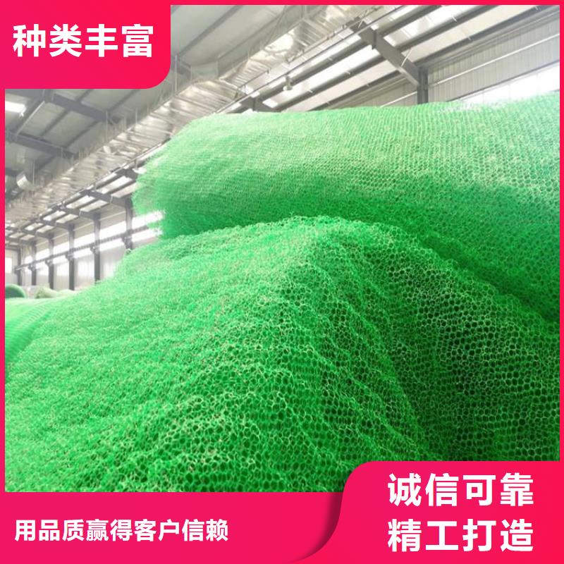 塑料固土三维护坡植被网垫