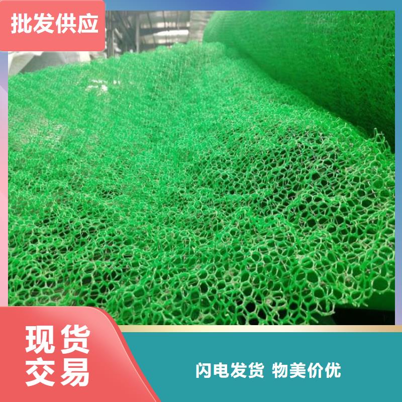 三维植被网#塑料护坡