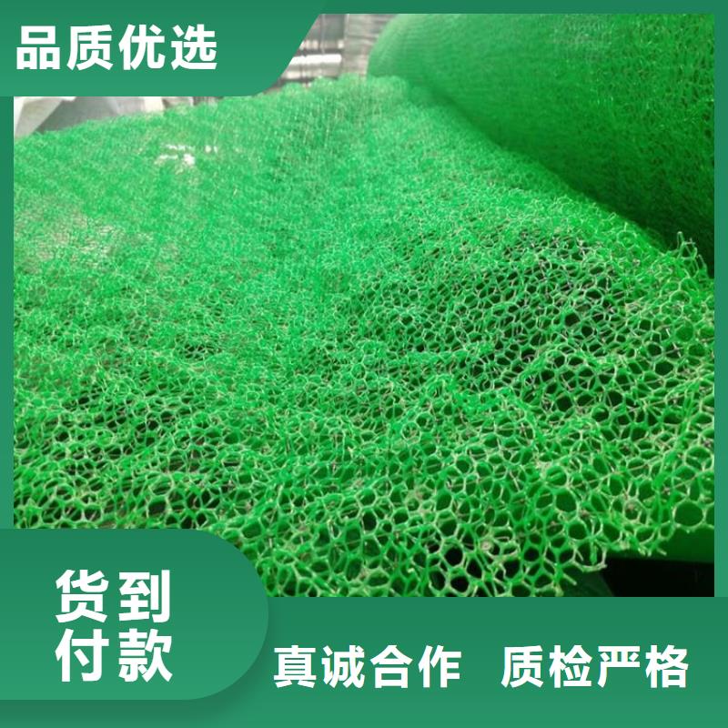 三维植被网膨润土防水毯实力公司