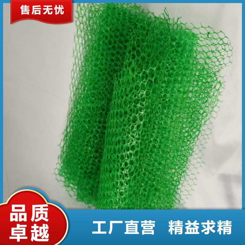 三维固土网垫厂家直销