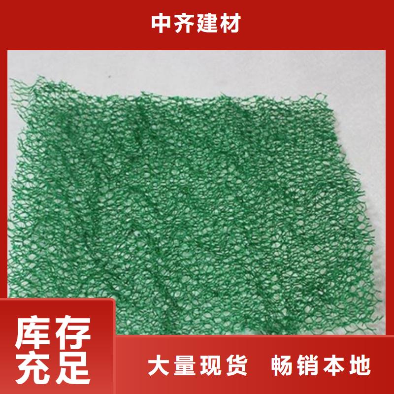 三维植被网#塑料护坡
